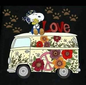 Meet your Posher, Karen